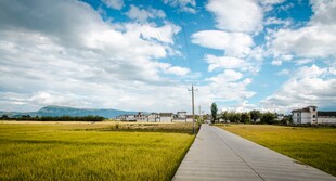 郊野田园公路风光