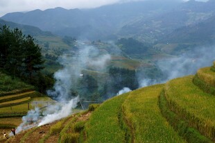 山乡梯田雾景风光