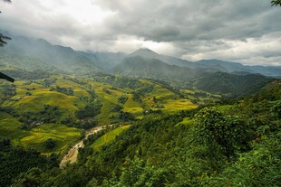 山间绿野云雾风光