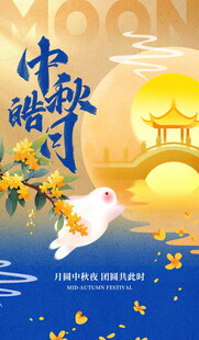 中秋佳节国风创意海报