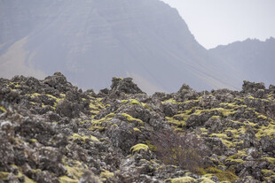 雾天荒野山景