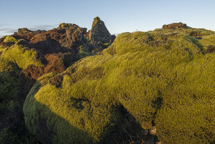 山野草坡岩峰风光