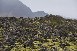 旷野苔原山地风光
