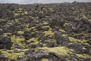火山岩苔原荒野风光