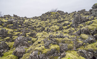 苔覆岩石山坡自然风景
