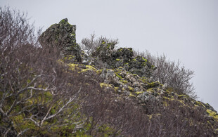 阴天山野坡地景观