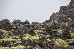 火山岩苔原自然景观