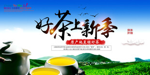 好茶上新季茶叶宣传海报