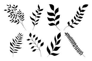 植物枝叶