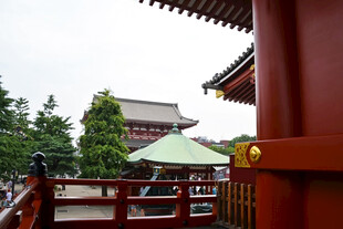 中式古建园林风光