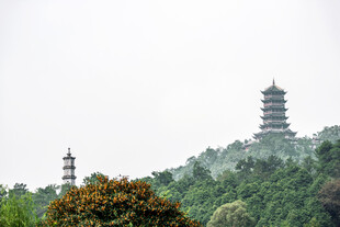 雾中山林双塔