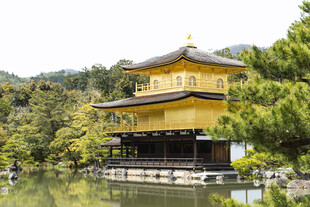 京都金阁寺风光