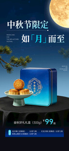 中秋限定月饼促销海报