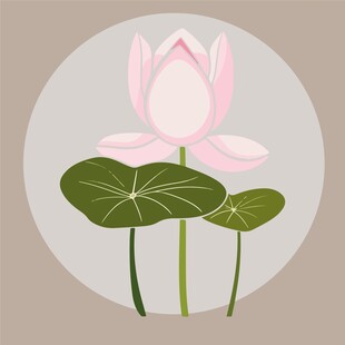 荷花圆形装饰