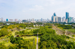 城市公园远眺风光