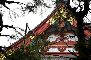树影掩映中式古建飞檐