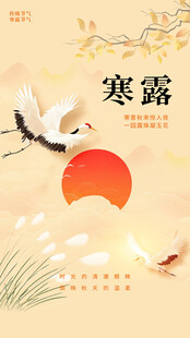 寒露国风节气海报