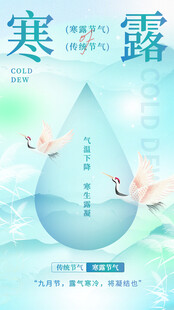 寒露节气创意海报
