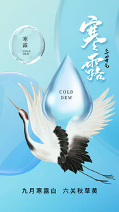 寒露节气海报