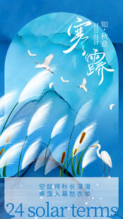 大寒节气创意海报