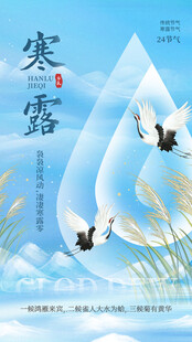 寒露节气清新国风海报