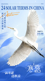 寒露白鹭节气创意海报