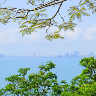 临海远眺城市绿意风光