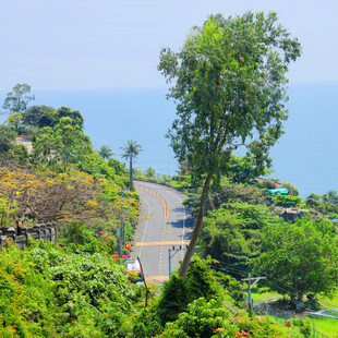 滨海环山公路风光