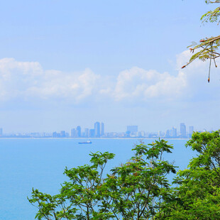 远眺滨海城市海景