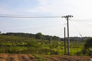 郊野电线杆户外风景