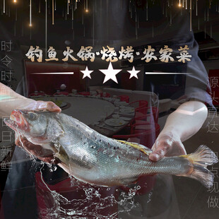 鲜鱼火锅烧烤农家菜