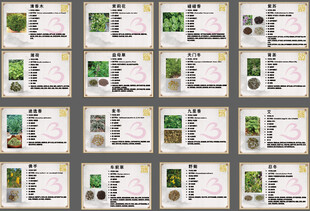 中草药科普卡片合集