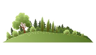 林间草地插画