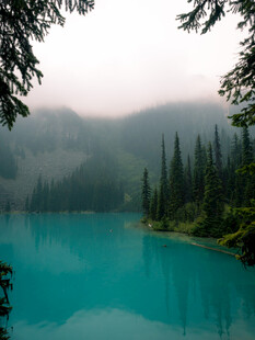 雾绕山林碧湖风光