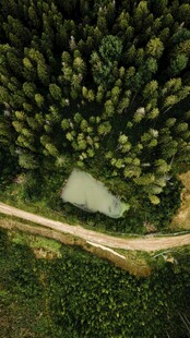 郊野绿植小路风景