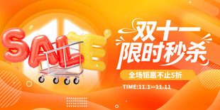 双十一限时秒杀促销
