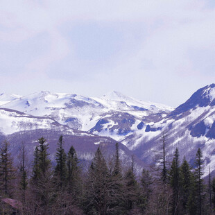 雪山森林自然风光