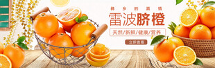 雷波脐橙宣传海报