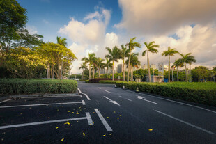 椰林公路沿途风光