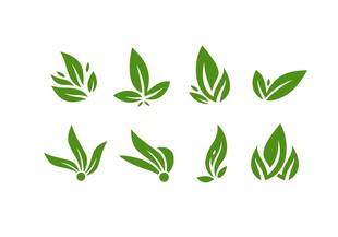 绿色叶片素材