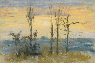 黄昏水岸枯树风景