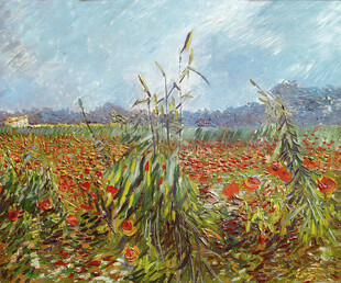虞美人花田风景油画