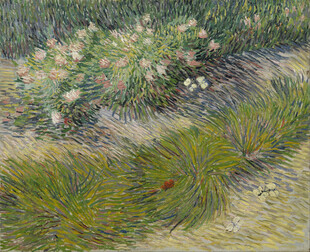 花园花草风景油画