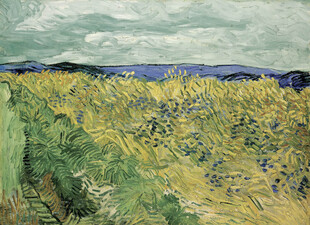 郊野麦田风景油画