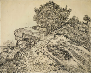 手绘素描山野老树风景