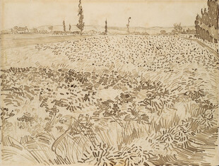 复古田野风景素描