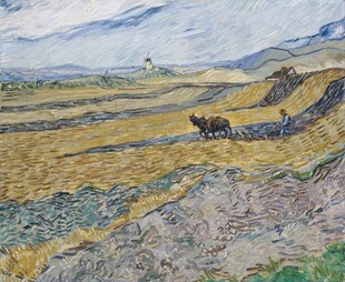 梵高麦田风景油画