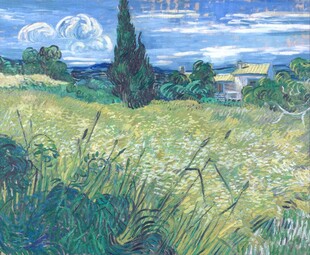 梵高麦田风景油画