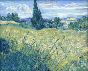 郊野麦田风景油画