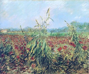 乡野花田风景油画